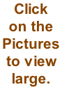 Click  on the  Pictures  to view large.